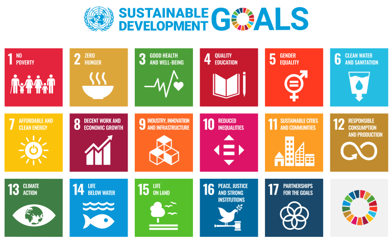 SDG icons
