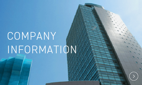 Company Information